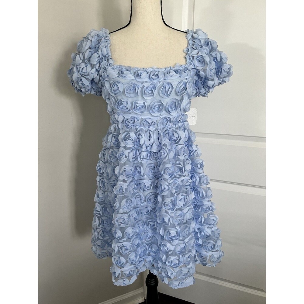 NWT Altar’d State Light Blue Rose Appliqué Mini Dress Medium